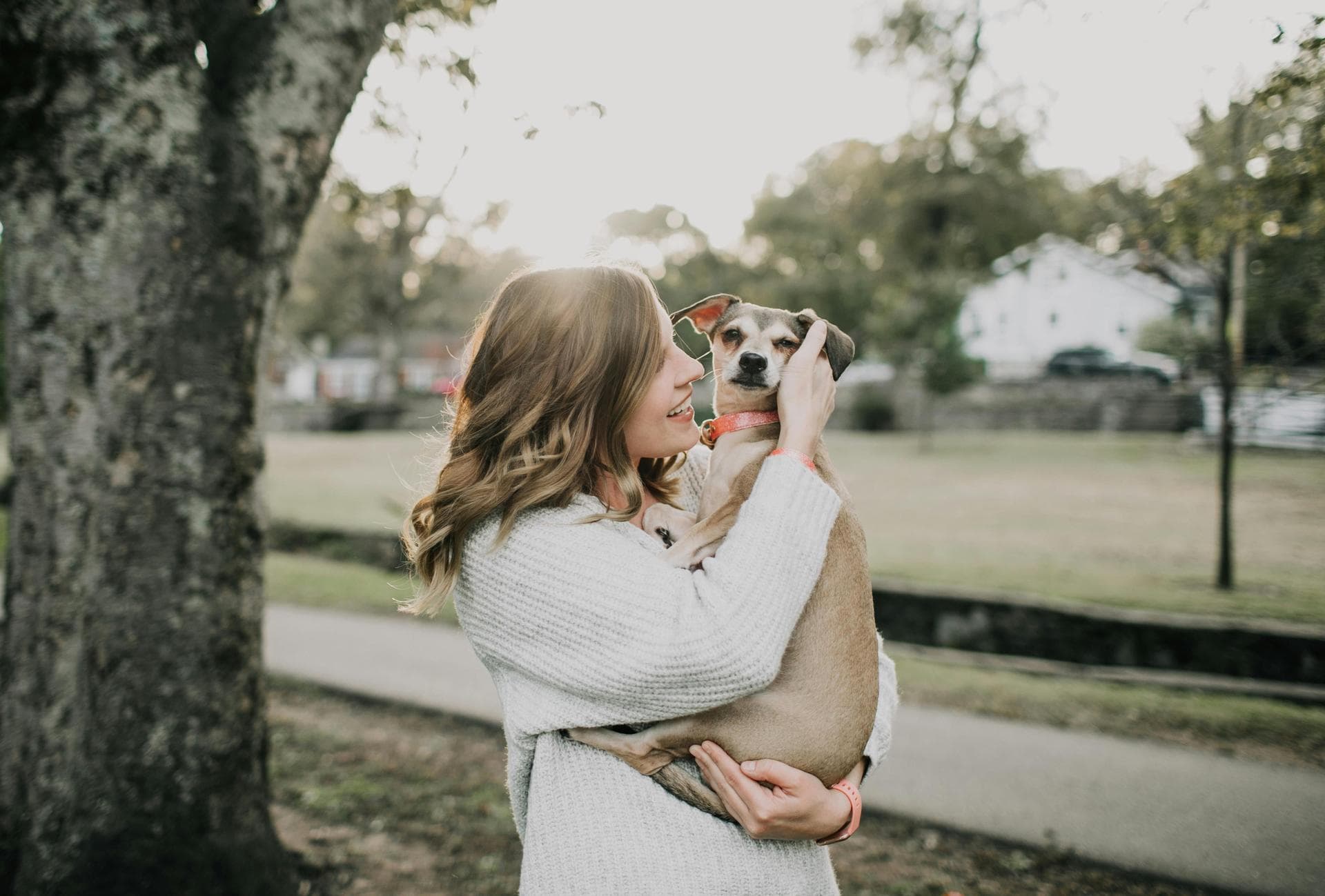 Kennel Cough Vaccine Prices in Northampton